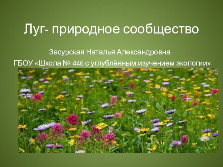 Луг- природное сообщество        Засурская Наталья