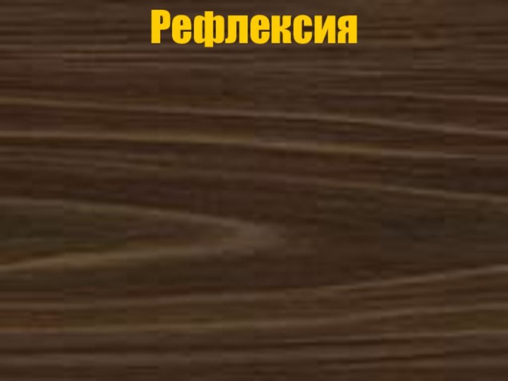 Рефлексия