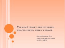 Учебный проект при изучении иностранного языка в школе