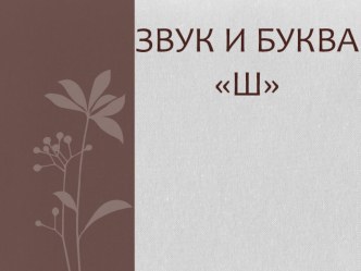 Презентация для индивидуальной логопедической работы Звук Ш