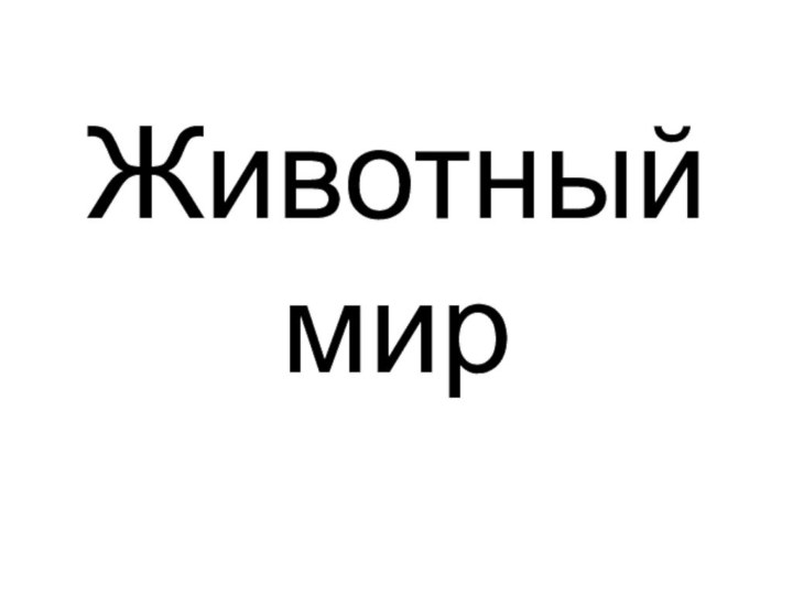 Животный мир