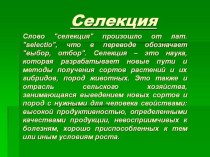 Презентация по биологии на тему Селекция(8 класс)