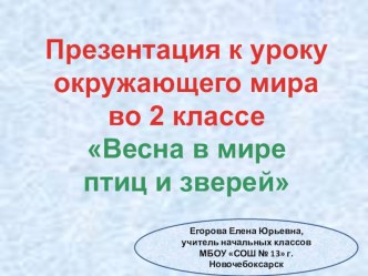 Урок по окружающему миру Весна в мире птиц и зверей