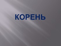 Презентация по биологии на тему:  Корень (6 класс)