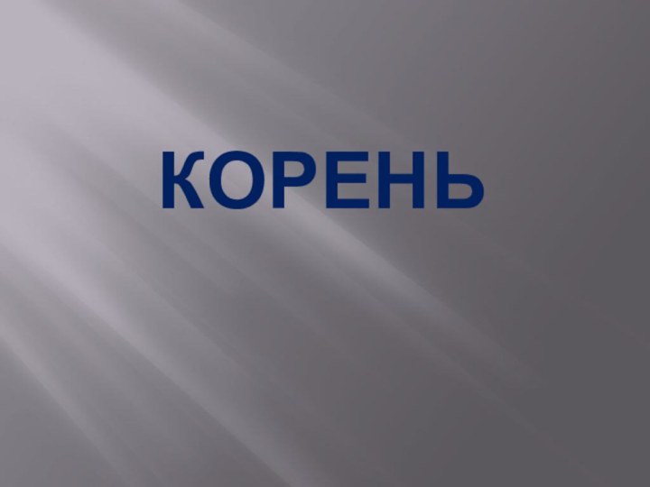 КОРЕНЬ