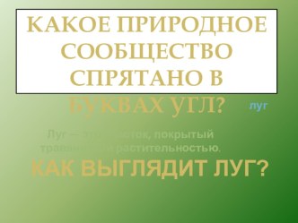 Презентация к уроку окружающего мира по теме Луг. 4 класс.