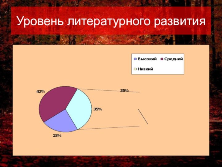 Уровень литературного развития