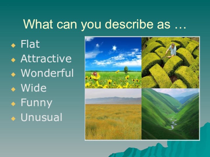 What can you describe as …FlatAttractiveWonderfulWideFunny Unusual