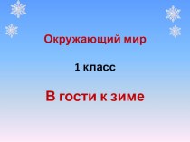 Презентация по окружающему миру на тему В гости к зиме