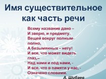 Презентация по русскому языку на тему Имя существительное (5 класс)