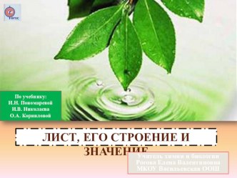 Конспект урока по биологии на тему: Лист, его строение и значение(6 класс)