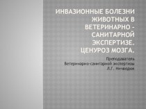 Инвазионные болезни животных, встречающиеся у человека, но не передающиеся ему через продукты убоя. Ценуроз мозга.