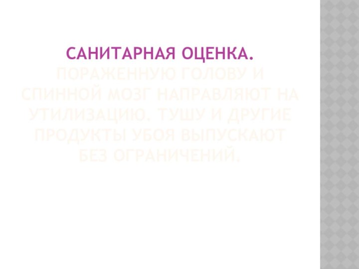 Санитарная оценка. Пораженную голову и спинной мозг направляют на утилизацию. Тушу и