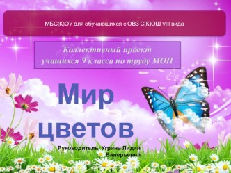 Коллективный проект учащихся 9 класса по труду МОП Мир цветов