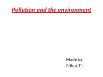 Презентация с заданием по английскому языку на тему Pollution and the environment