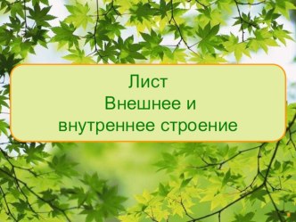 Презентация по биологии 6 класс на тему Лист-внешнее и внутреннее строение