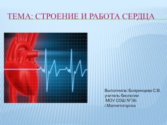 Презентация по биологии для 8 класса по теме Строение и работа сердца