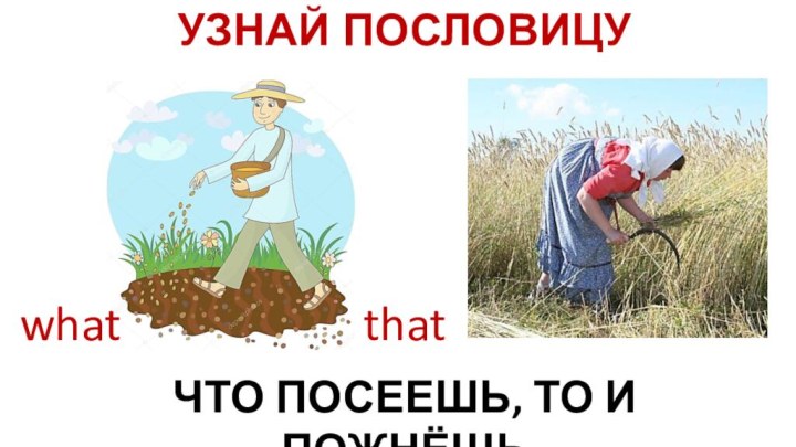 УЗНАЙ ПОСЛОВИЦУЧТО ПОСЕЕШЬ, ТО И ПОЖНЁШЬwhatthat