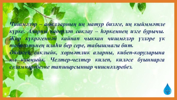 Чишмәләр – авылларның иң матур бизәге, иң кыйммәтле күрке. Аларны кадерләп саклау