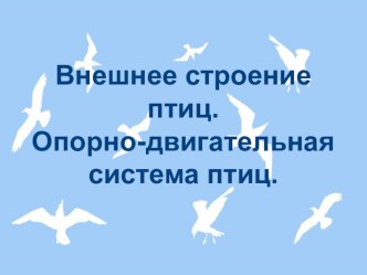 Презентация по биологии на тему Особенности внешнего строения птиц. Опорно-двигательная система