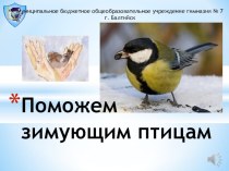 Презентация Поможем зимующим птицам
