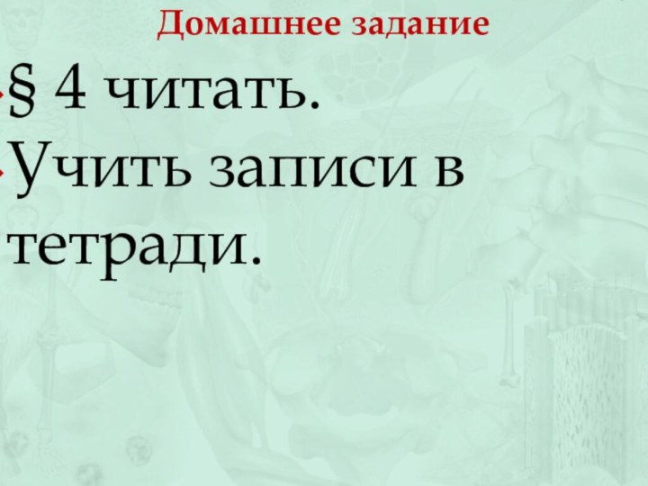 Домашнее задание§ 4 читать.Учить записи в тетради.