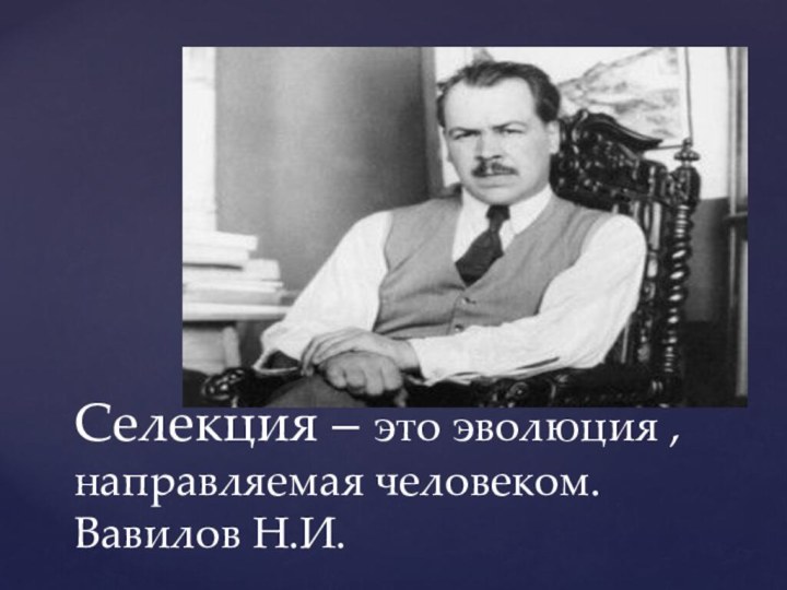 Селекция – это эволюция , направляемая человеком. Вавилов Н.И.