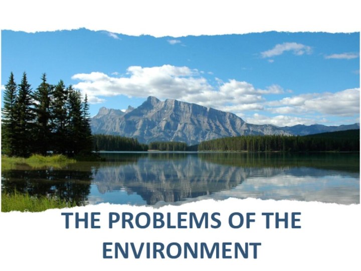 THE PROBLEMS OF THE ENVIRONMENT