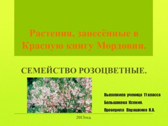 Презентация по биологии на тему Растения, занесенные в Красную книгу Республики Мордовия 11 класс