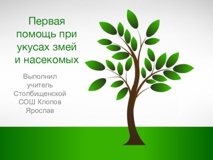 Первая помощь при укусах змей и насекомыхВыполнил учитель Столбищенской СОШ Клопов Ярослав