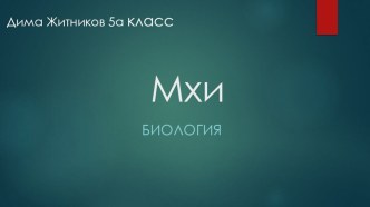 Презентация по биологии Мхи