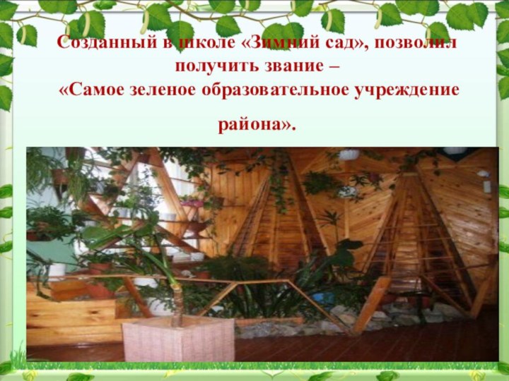 Cозданный в школе «Зимний сад», позволил получить звание –  «Самое зеленое образовательное учреждение района».