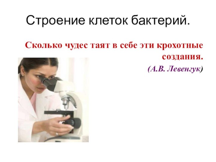 Строение клеток бактерий.Сколько чудес таят в себе эти крохотные создания. (А.В. Левенгук)