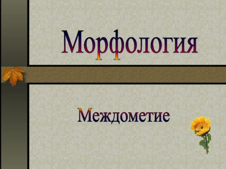 Морфология Междометие