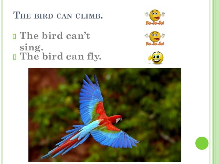 The bird can climb.The bird can’t sing. The bird can fly.