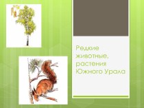 Редкие животные, растения Южного Урала
