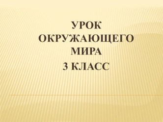 Презентация по окружающему миру на тему Земля и люди Московского государства.