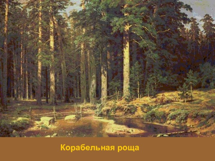 Корабельная роща