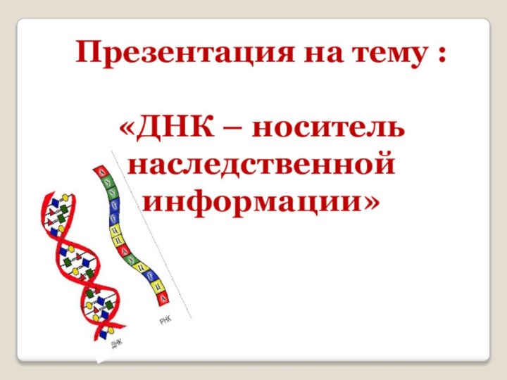 Презентация на тему :«ДНК – носитель наследственной информации»