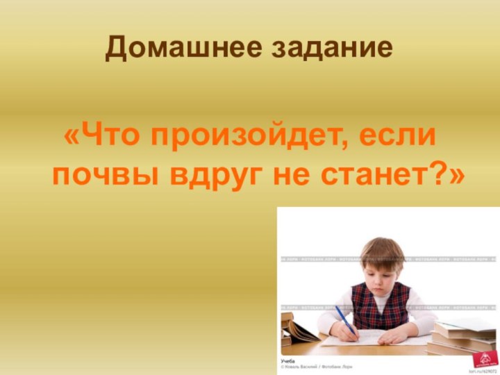 Домашнее задание«Что произойдет, если почвы вдруг не станет?»