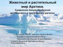 Презентация по биологии Животный и растительный мир Арктики.