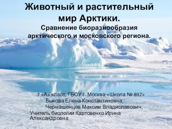 Животный и растительный мир Арктики. Сравнение биоразнообразия арктического и московского региона.