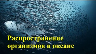 Презентация по географии Распространение организмов в океане