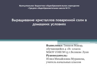 Презентация исследовательской работы учащегося Выращивание кристаллов поваренной соли в домашних условиях