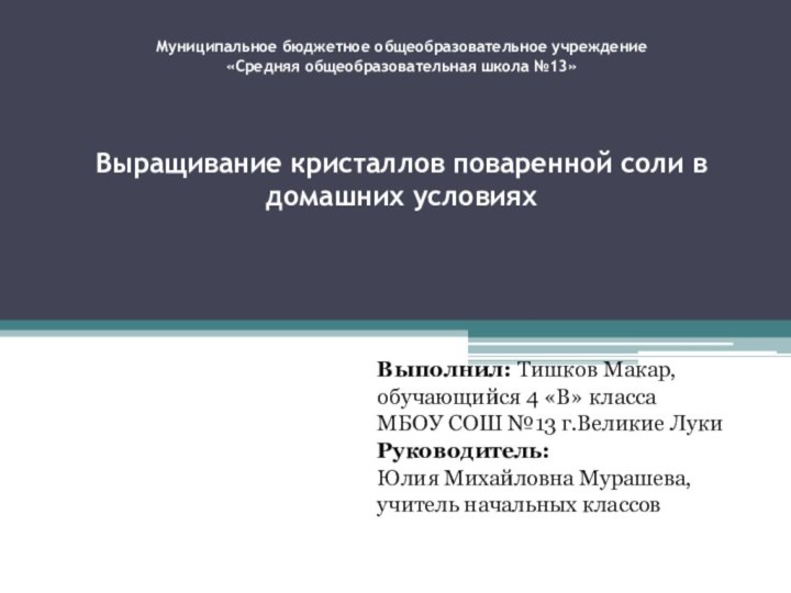 Муниципальное бюджетное общеобразовательное учреждение  «Средняя общеобразовательная школа №13»