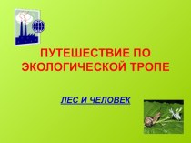 Презентация к внеклассному мероприятию Экологическая тропа