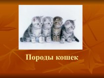 Презентация по Окружающему миру на тему:  Породы кошек.