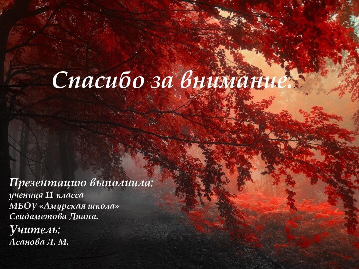 Спасибо за внимание..Презентацию выполнила: ученица 11 класса МБОУ «Амурская школа» Сейдаметова Диана.