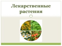 Лекарственные растения