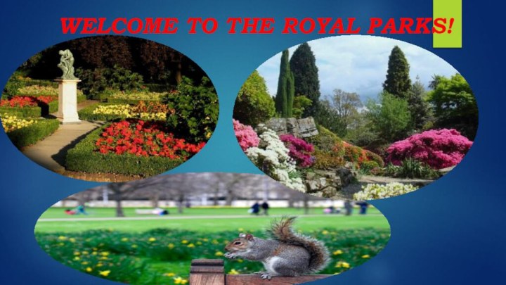 WELCOME TO THE ROYAL PARKS!